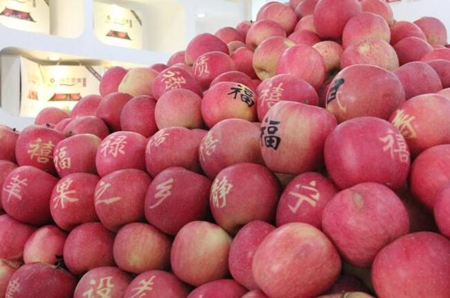 “靜寧蘋果”榮登中國品牌榜