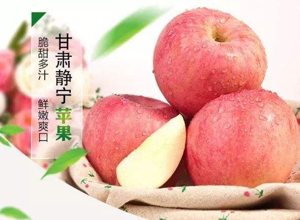 靜寧蘋果--30余年謀“一果”，歷屆班子種“一樹”