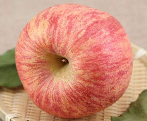 10月11日甘肅平?jīng)鲮o寧蘋果價(jià)格行情