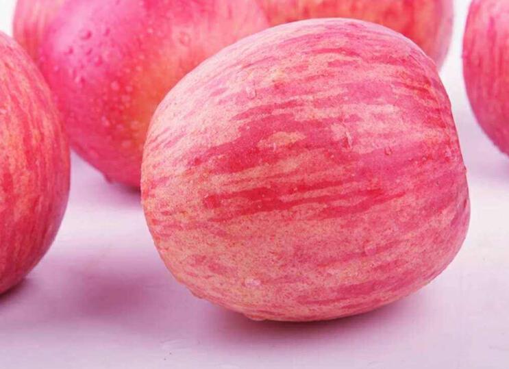 甘肅平?jīng)鲮o寧紅富士蘋果11月6日7日價格行情